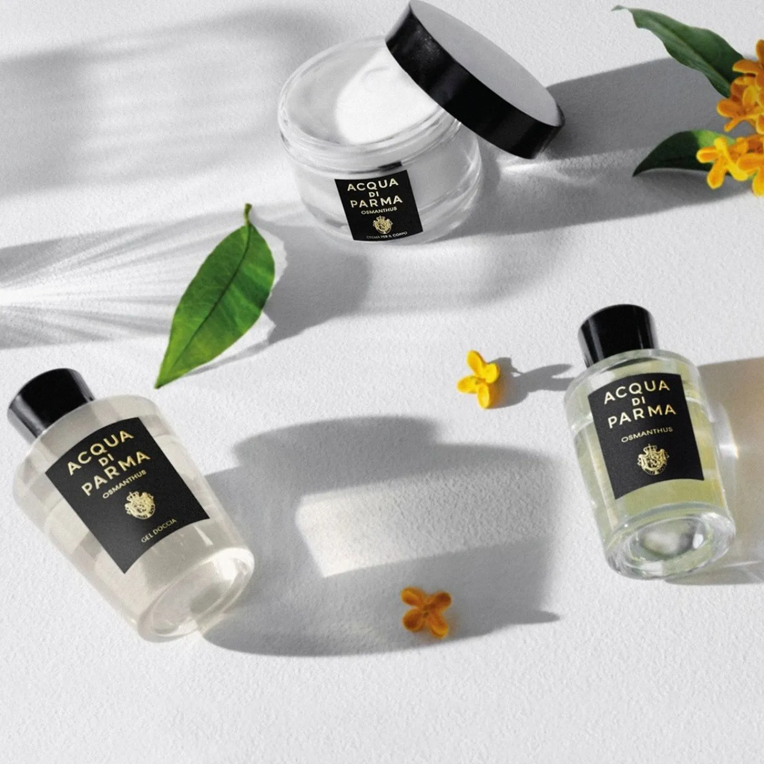Acqua di Parma -Handtekeningen Van De Sun Osmanthus Bodylotion