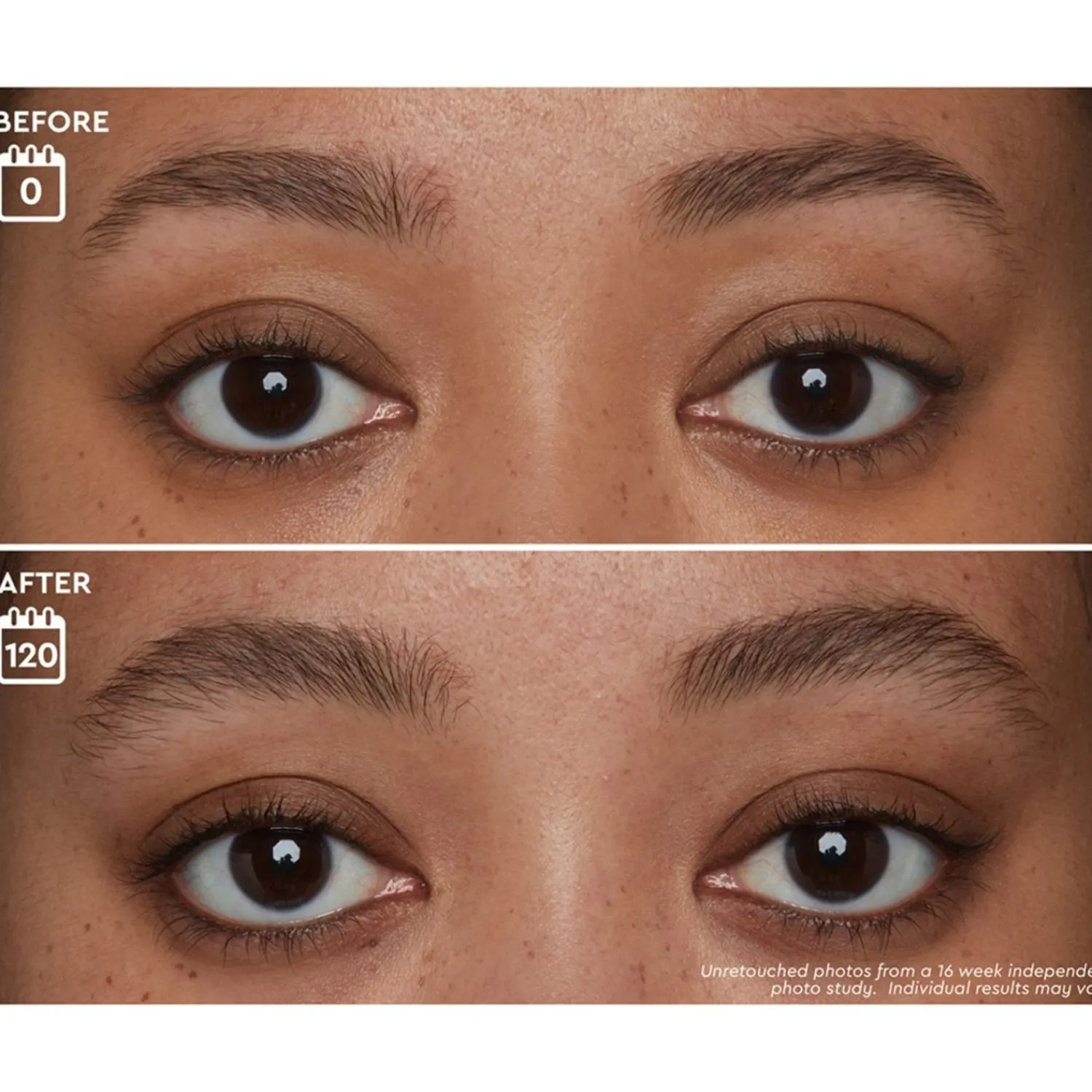 Anastasia Beverly Hills Brow Genius®