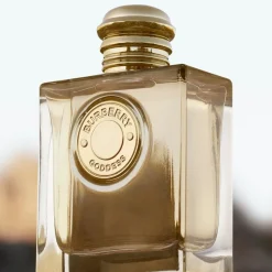 BURBERRY Godin Navulbaar