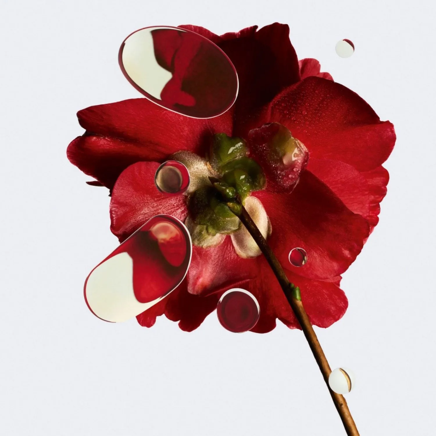 CHANEL N°1 De Serum Revitalisant
