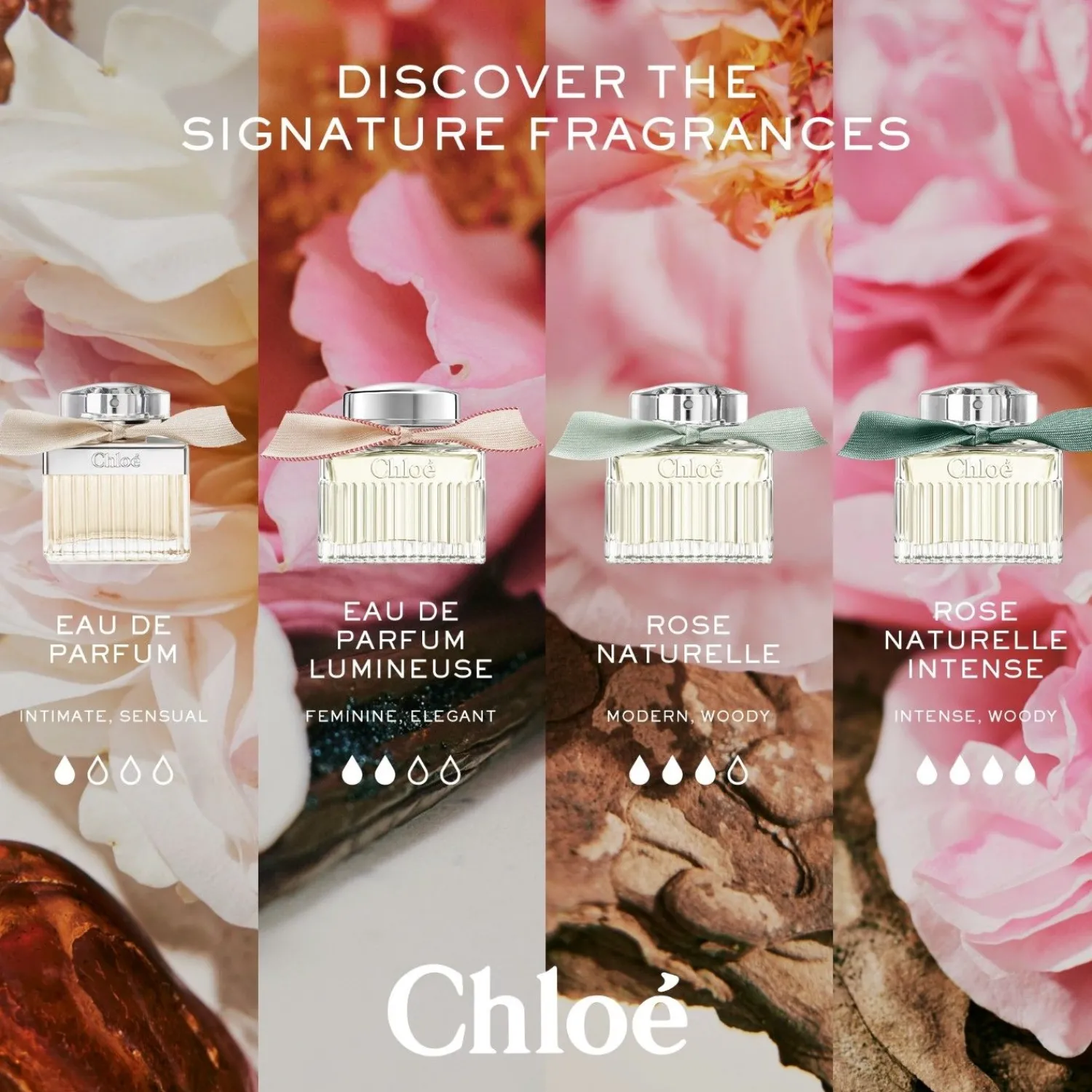 Chloé Chloe Chloe Cadeauset