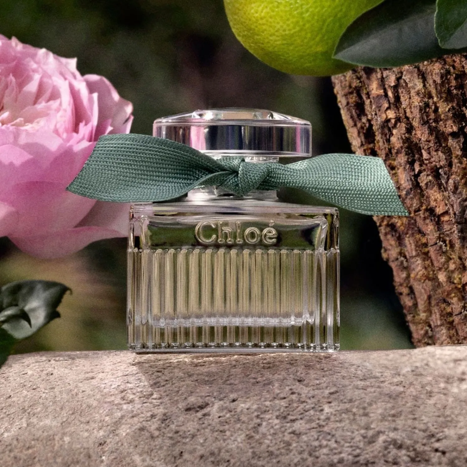 Chloé Chloe Chloe Intense Natuurlijke Roos