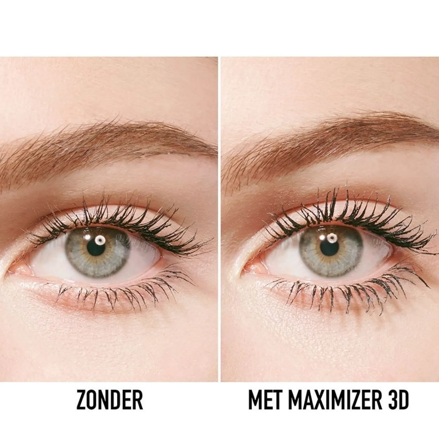 DIOR show Maximizer 3D