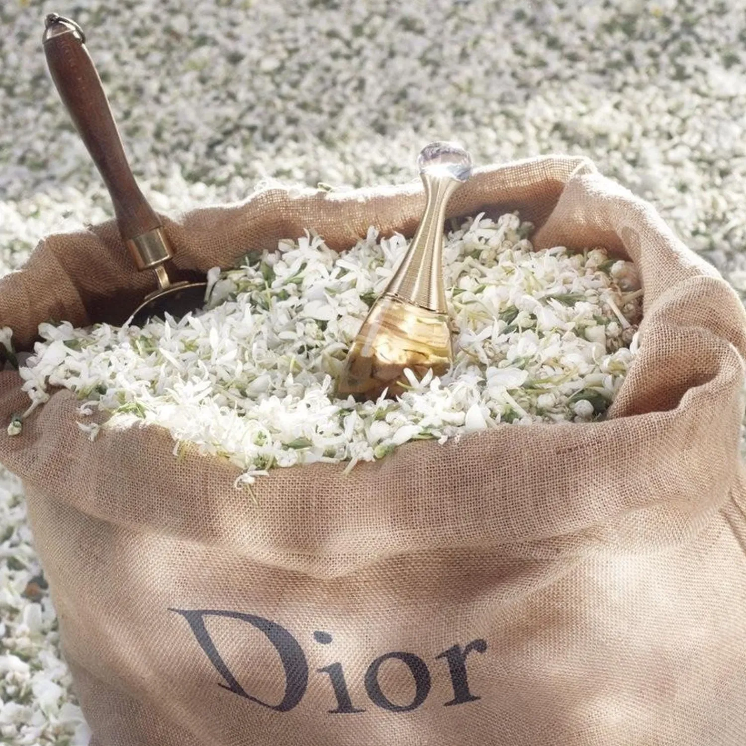 DIOR J'Adore Eau De Parfum