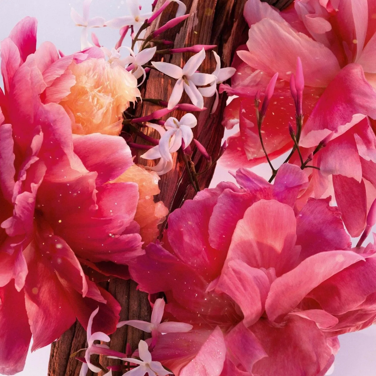DIOR Miss -Parfum