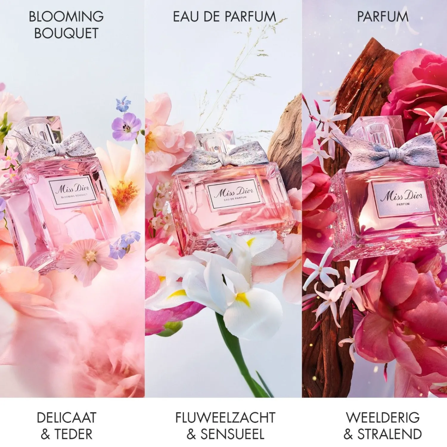 DIOR Miss -Parfum