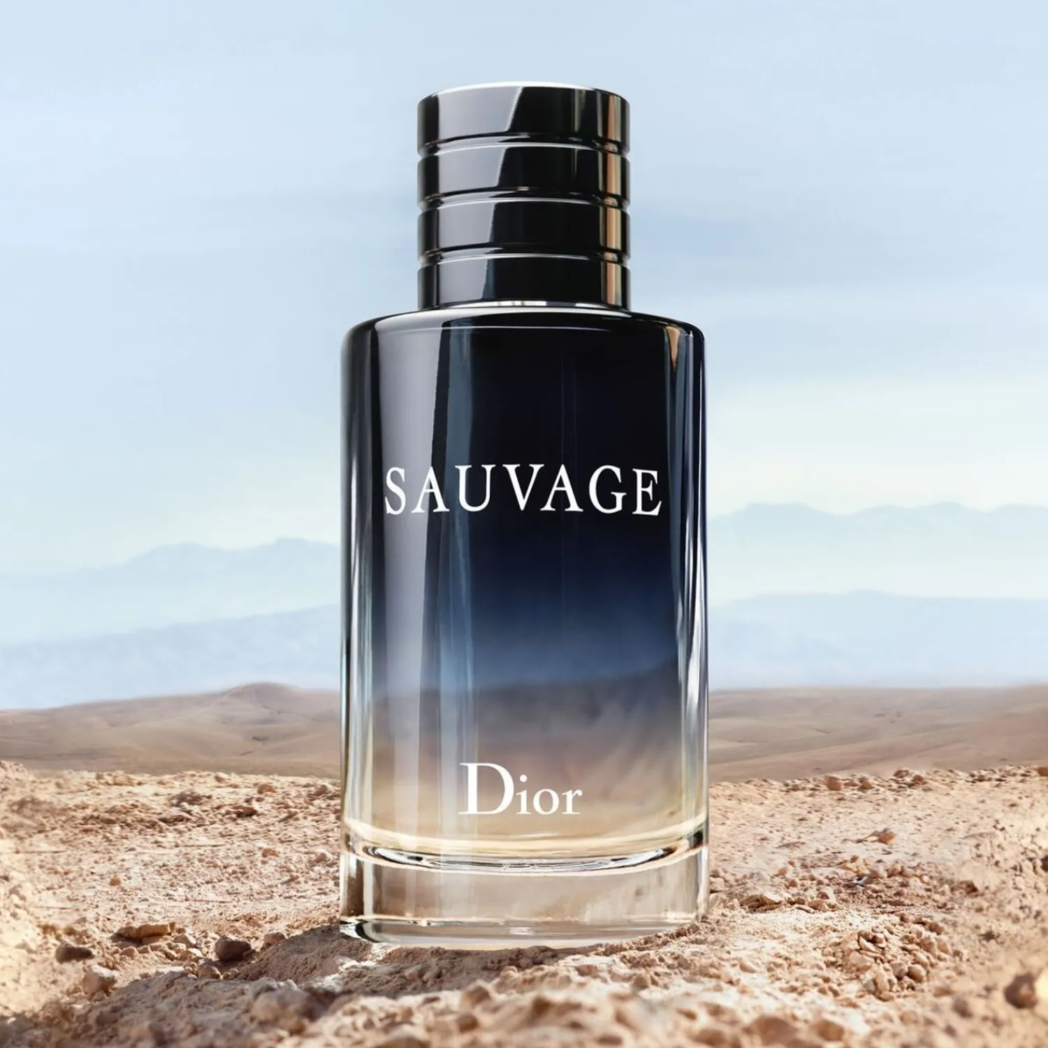 DIOR Sauvage Eau De Toilette