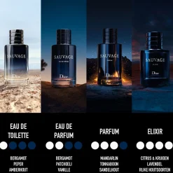 DIOR Sauvage-Parfum