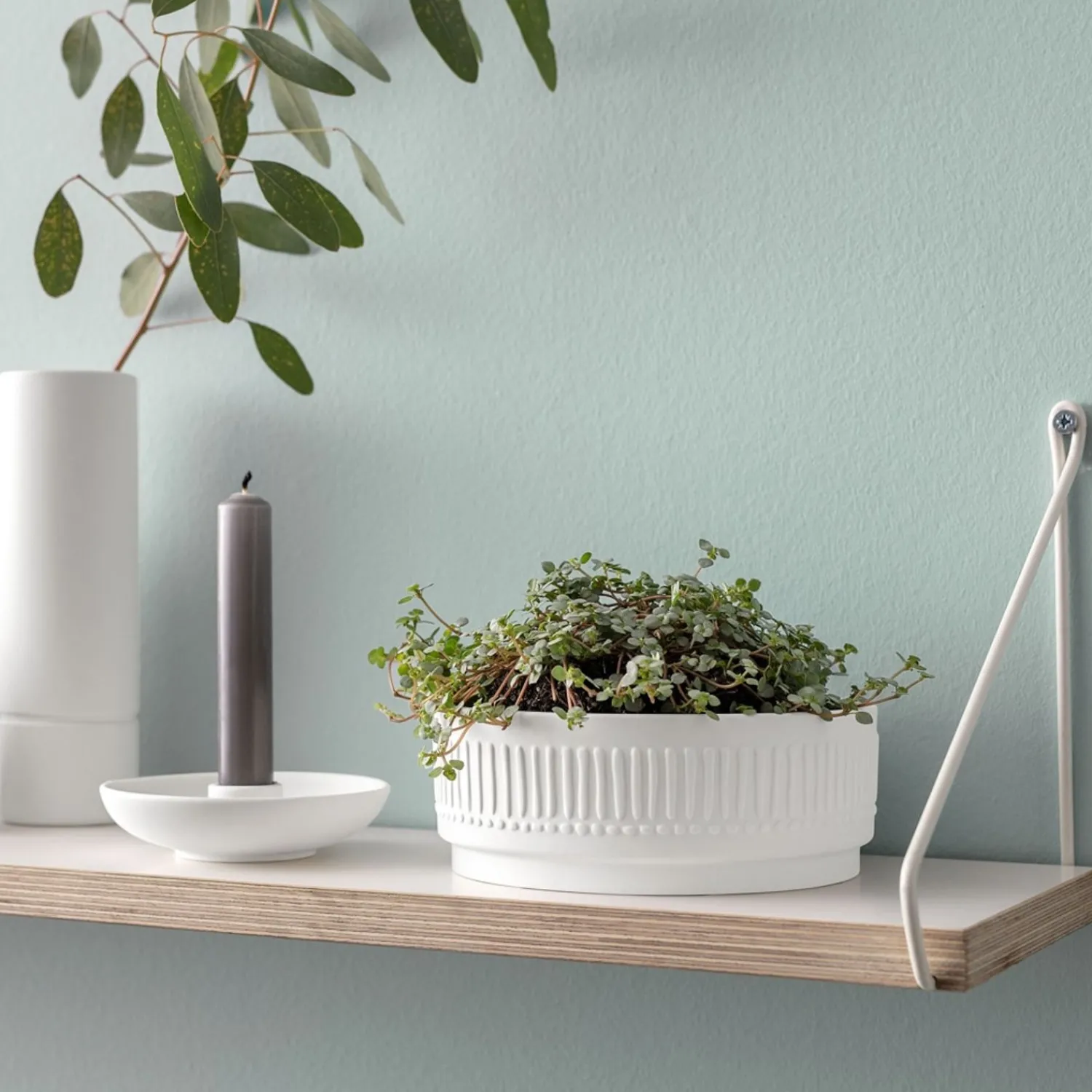 like. by Villeroy & Boch Leuk Vinden. Van Villeroy & Boch Plantenschaal Bloesemmineraal, Het Is Mijn Thuis