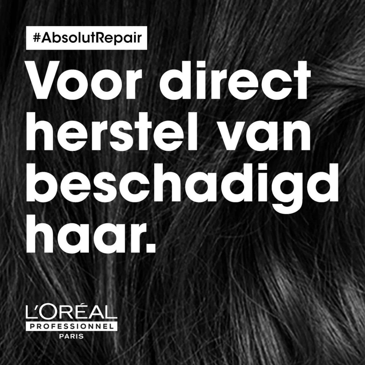 L´Oréal Professionnel L'Oreal Professionnel Absolut Reparatie