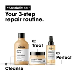 L´Oréal Professionnel L'Oreal Professionnel Absolut Reparatie