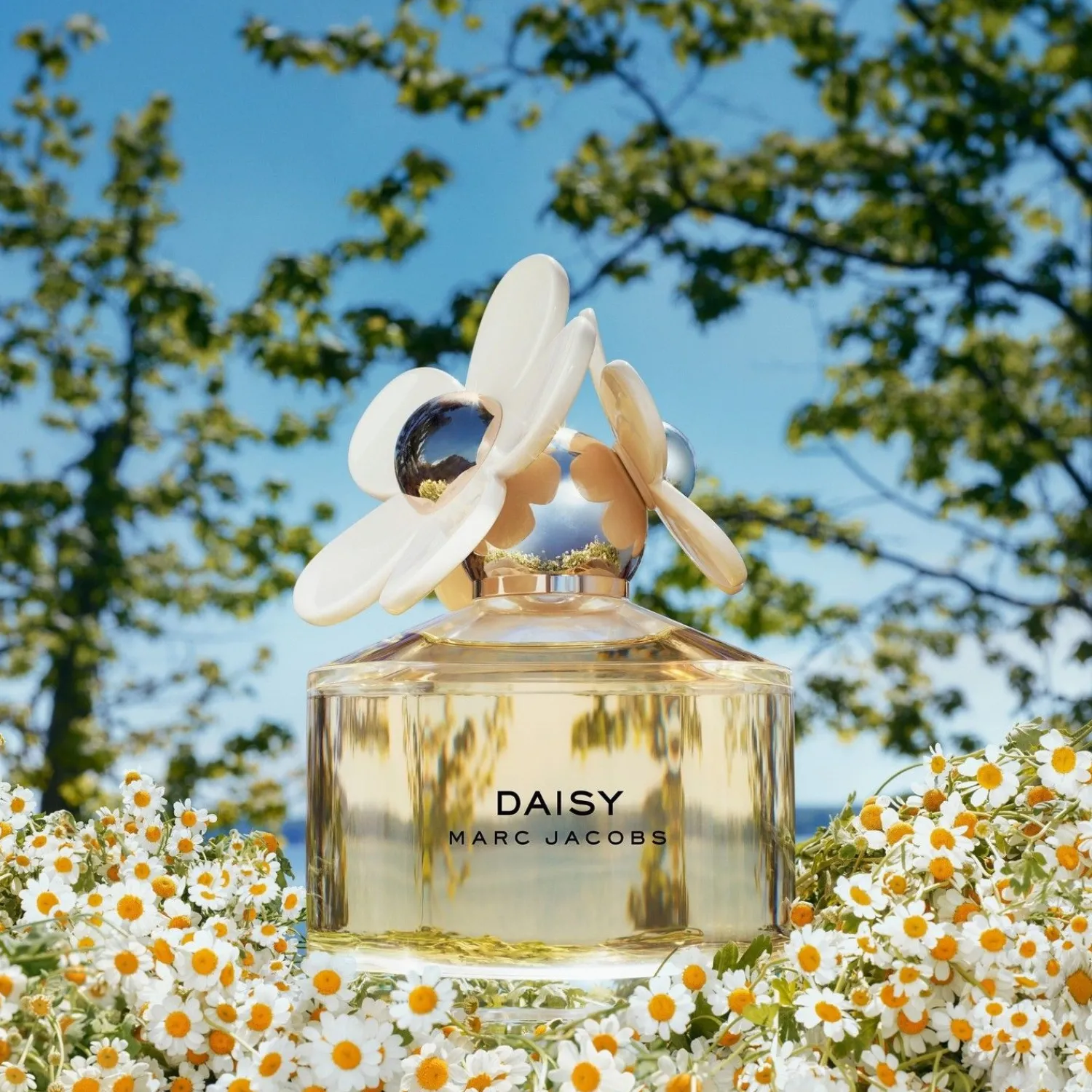 Marc Jacobs Daisy Eau De Toilette Geschenkset