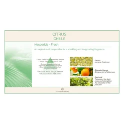 Plantes & Parfums Citrus Chills-Geschenkdoos