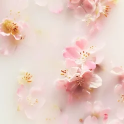 Rituals The Ritual Of Sakura Handwas