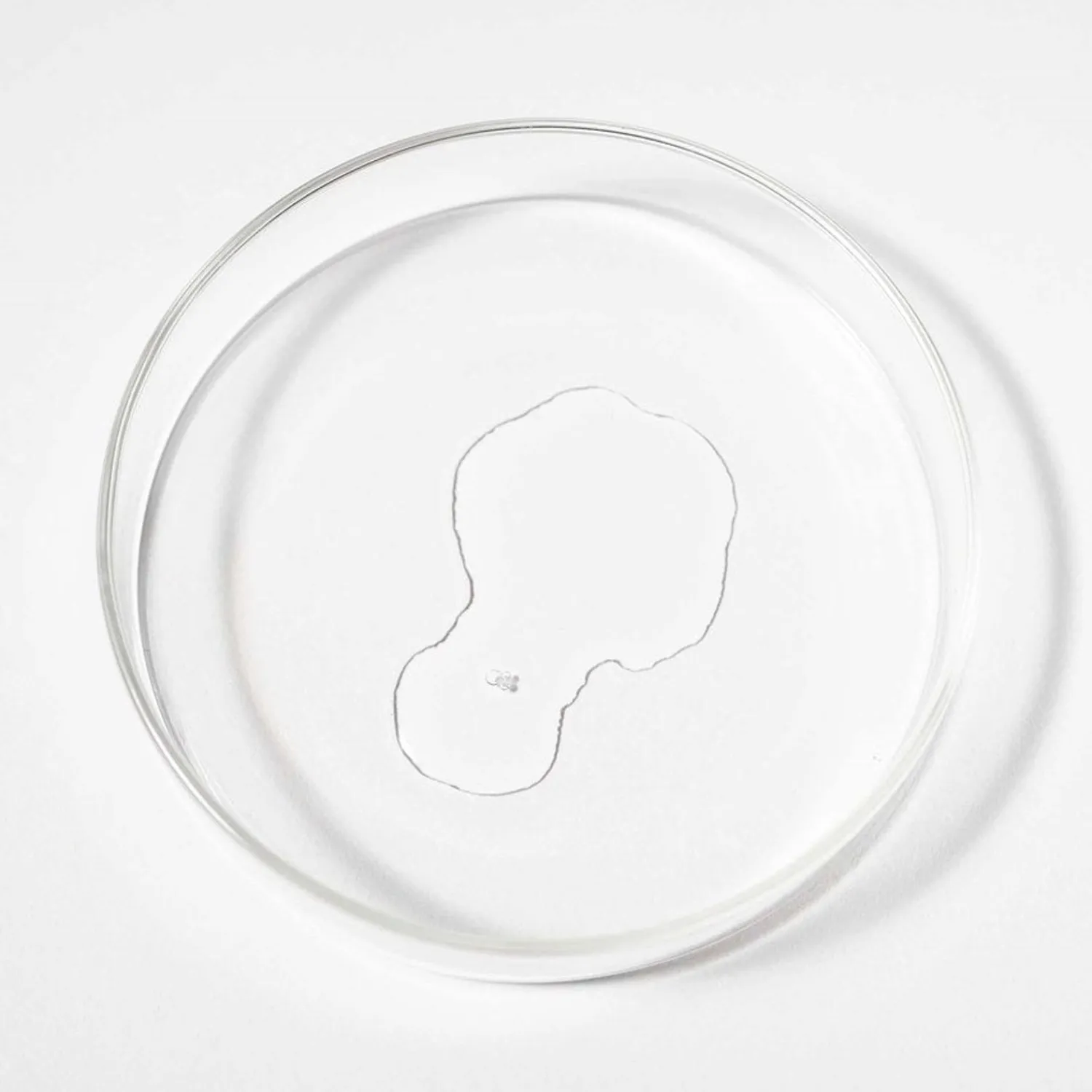 Scandinavian Biolabs Scandinavische Biolabs Bio-Pilixin® Serum Mannen