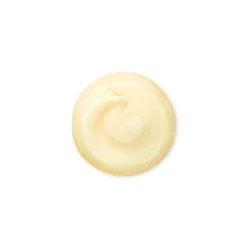 Shiseido Benefiance Wrinkle Smoothing Cream Enriched