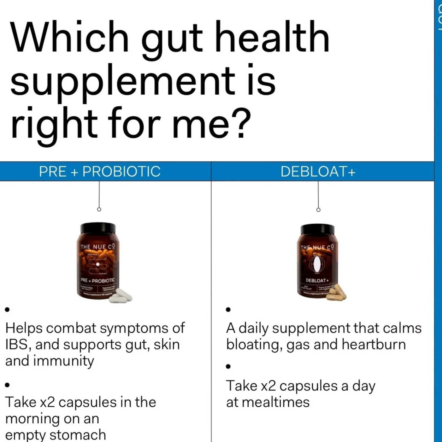 The Nue Co Prebiotic + Probiotic