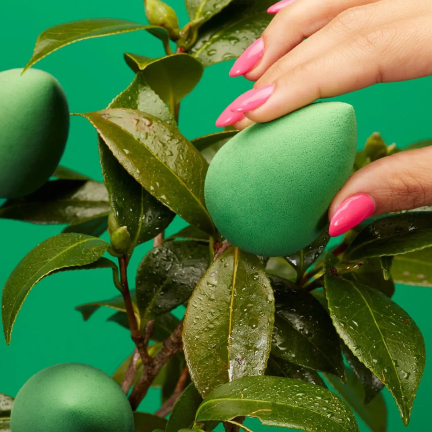 The original beautyblender Beautyblender Bio Pure