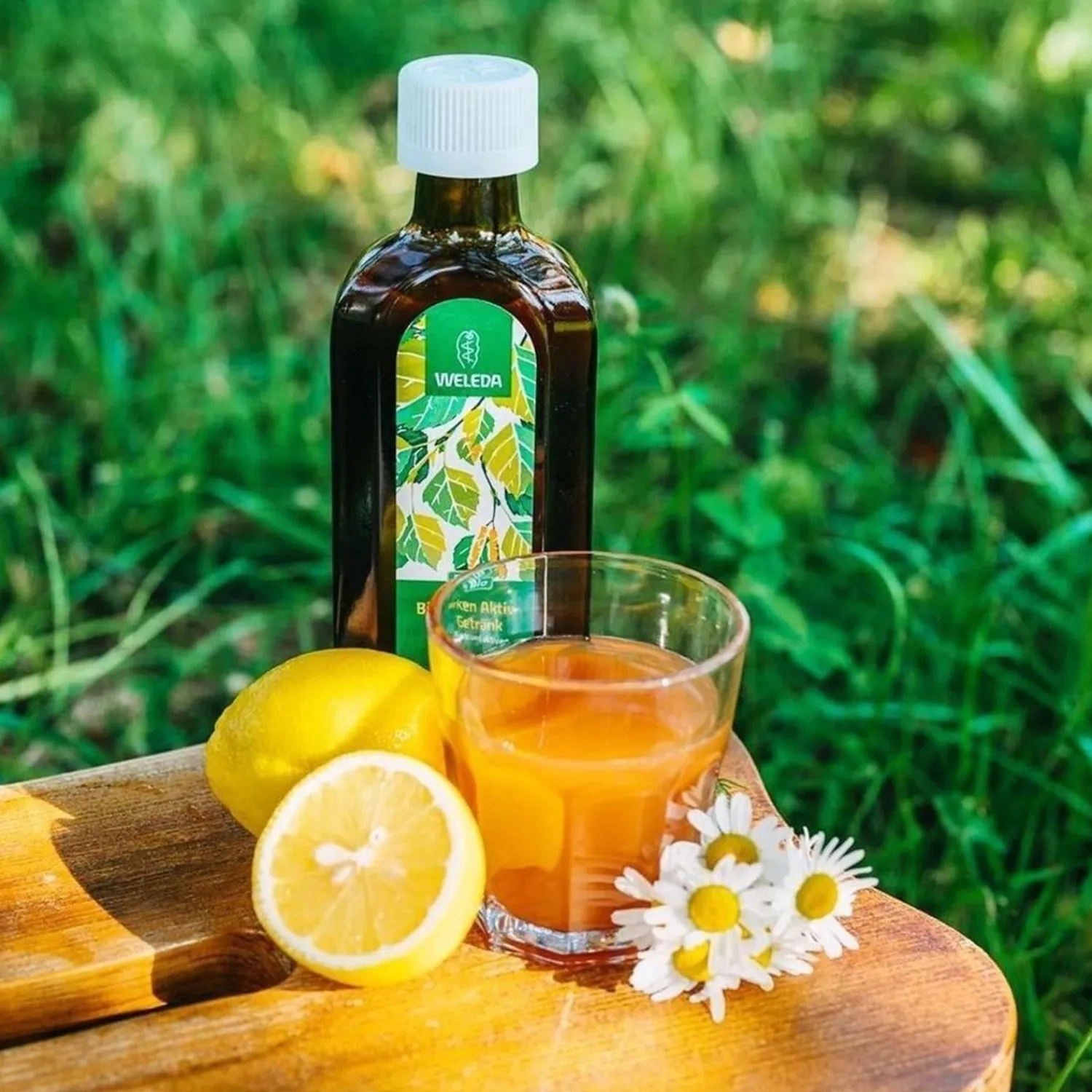 Weleda Berken Extract