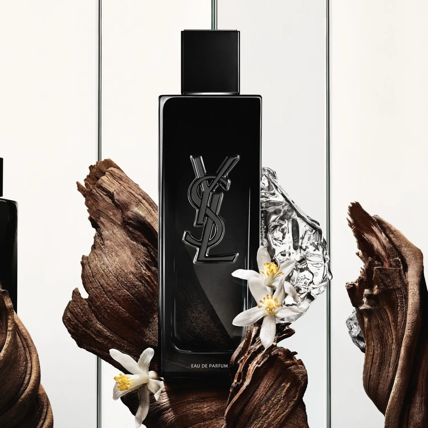 Yves Saint Laurent Myslf